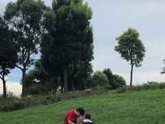 -贵阳市花溪国家城市湿地公园