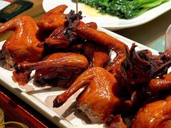 红烧鸽-大鸽饭(岗顶店)