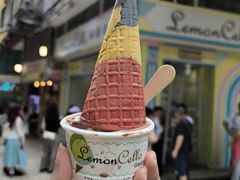 -柠檬车露(卖草地店)