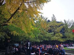 -成都市活水公园