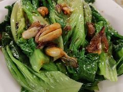 -百利鸽王(紫薇路店)