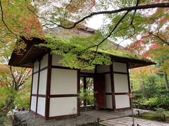 -常寂光寺