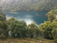 android_upload_pic-鼎湖山风景区