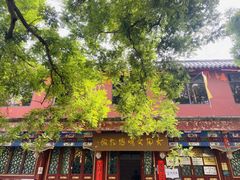 -古陶文明博物馆