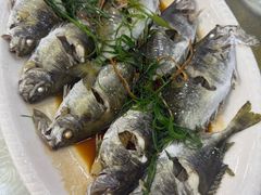 -台山美食一绝阿四台山黄鳝饭(阿四创作店)