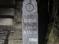 -梧桐山风景名胜区