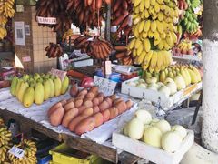 -南沙十九涌渔人码头-南门