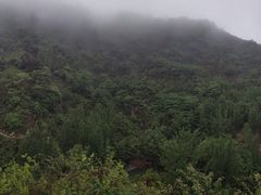 -沣峪口