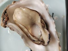 -宾朋海鲜饭庄(兴海路店)