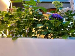 -稀物集咖啡(徽州大道店)
