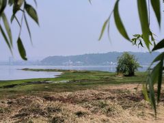 -洱海月湿地公园