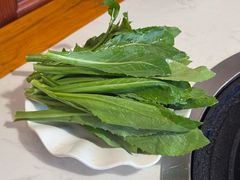 藏红花苗-顺顺小吃(独克宗古城店)