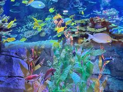 -欢乐海岸海洋奇梦馆