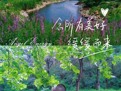 -北京张裕爱斐堡酒庄