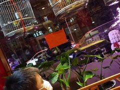 大堂-红红烤鸭店(西单店)