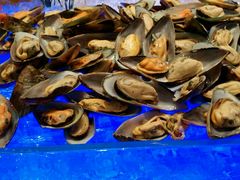 android_upload_pic-长沙三景韦尔斯利酒店·Oval全日制餐厅自助餐