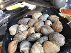 蛤蜊-本味家贵州烤肉&爆浆小豆腐(会展一店)