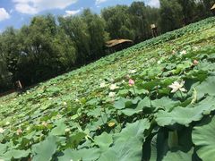-天赐温泉