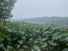 -西湖游船