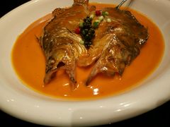 android_upload_pic-马仕玖煲·融合菜·酥不腻烤鸭(人大店)