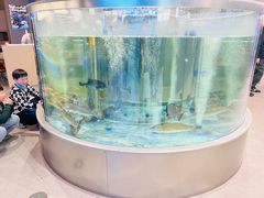 -海底捞大排档火锅(打浦路店)