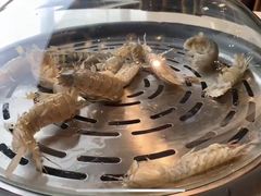 -蓝珊甄选海鲜自助·火锅大排档(近阿那亚店)