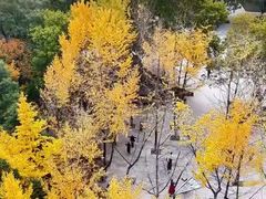 -渭滨公园