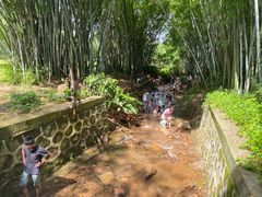 -田心森林公园
