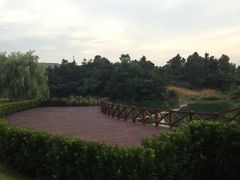 IMG_1452-苏体天云湖运动度假村