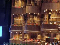 -交通银行前滩31演艺中心