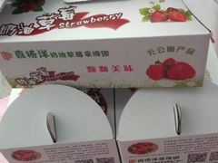 -喜杨洋草莓采摘园