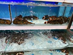 -盒马X会员店(王府井奥莱UP TOWN店)