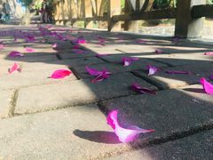 -暨南大学（石牌校区）明湖楼