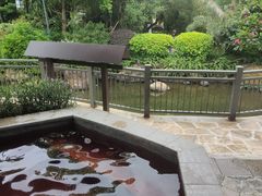 -清远熹乐谷温泉度假酒店