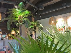 -大头椰·椰子鸡火锅(南宁万象城店)