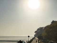 -贡湖湾湿地公园