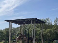 -哈尔滨北方森林动物园