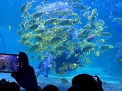 -左海海底世界