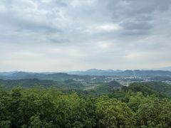-云碧峰国家森林公园