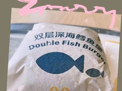 -麦当劳(正定瑞天店)
