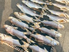 马友鱼-霞涌市场海鲜摆卖区