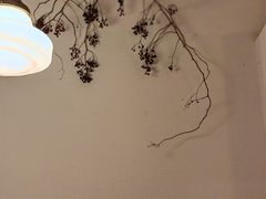 -Ginko银子(青龙街店)