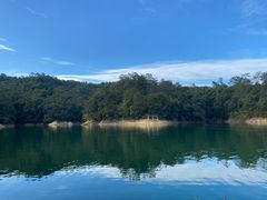 -广州市流溪河国家森林公园