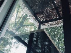 -日出青木