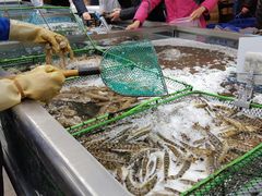 -盒马鲜生(大成店)