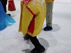 -世界之窗阿尔卑斯冰雪世界