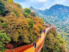 -少华山国家森林公园
