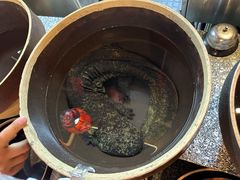 -印象鲵宴·张家界地标美食名片(溪布街店)