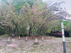 -苏州河梦清园环保主题公园