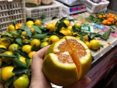 海南绿橙-海大南门夜市(海富街店)